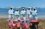 Anuncian creaci�n de Observatorio Permanente del Golfo de M�xico