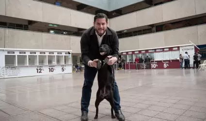 Declara Ismael Burgue�o a Palacio Municipal como espacio pet friendly