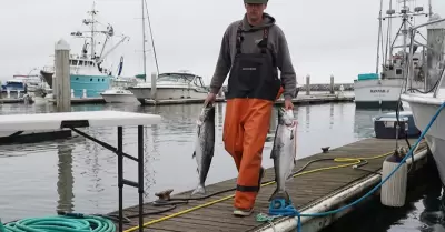 Reabren pesca de salm�n en California tras tres a�os de cierre