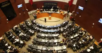 Senado