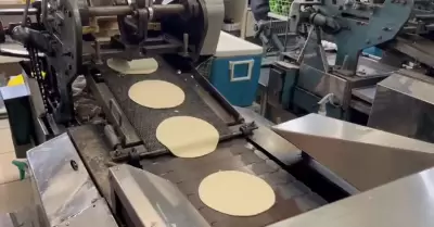 Tortilla ma�z