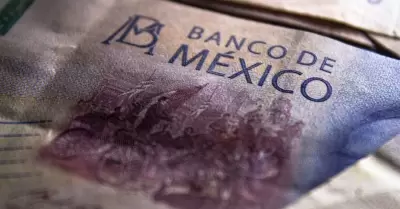 dinero, crecimiento