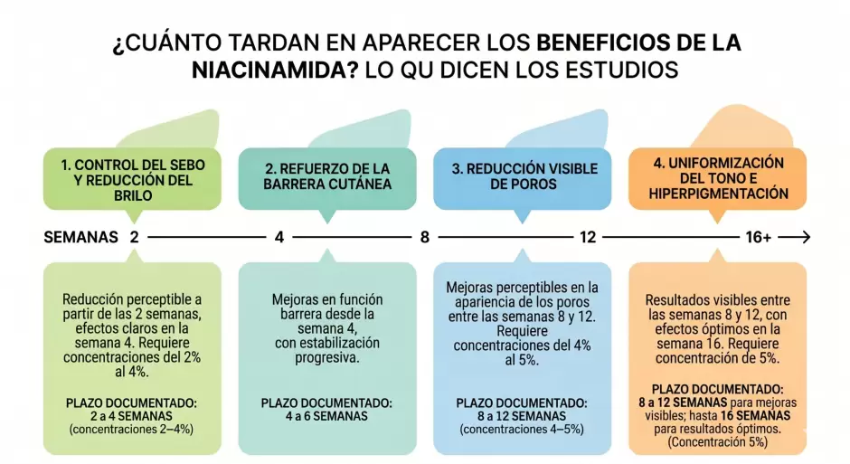 L�nea de tiempo efecto niacinamida