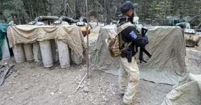 Chihuahua