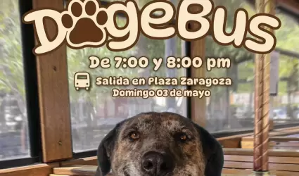 DogeBus