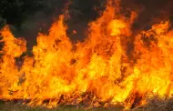 Newsom acelera 400 proyectos de prevenci�n de incendios forestales