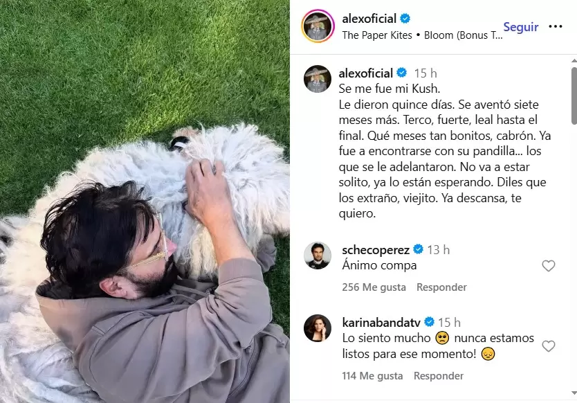 Alejandro Fern�ndez sufre la p�rdida de un ser querido