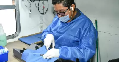 Jornadas de castraciones
