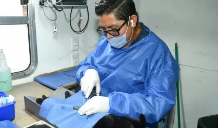 Jornadas de castraciones