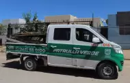 Hermosillo endurece combate a basureros clandestinos