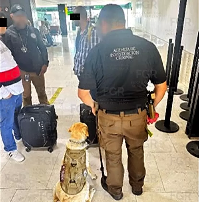 Dos hombres son detenidos en el Aeropuerto de Tijuana junto con 52 kilos de posible coca�na