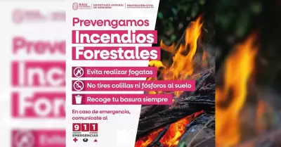 Temporada de incendios