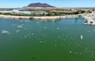 D�a mundial del medio ambiente: CESPM llama a fortalecer el cuidado del agua y la protecci�n de los sistemas h�dricos