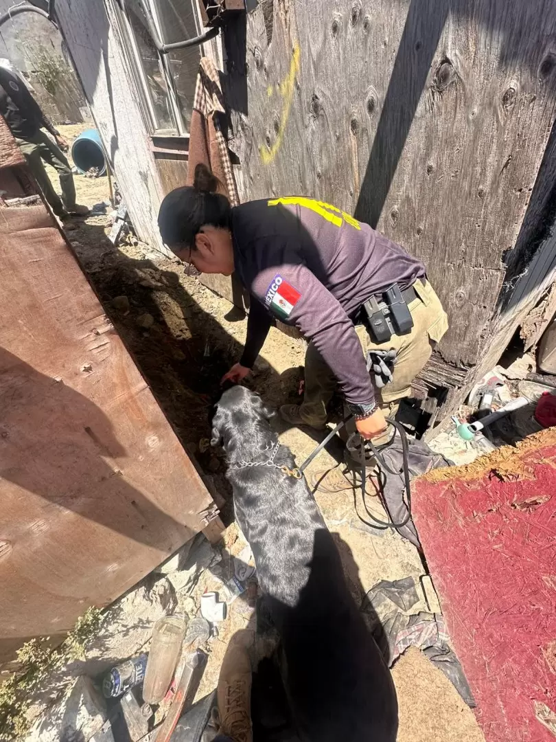 Diligencias de b�squeda e inspecci�n por casos de desaparici�n en Tijuana