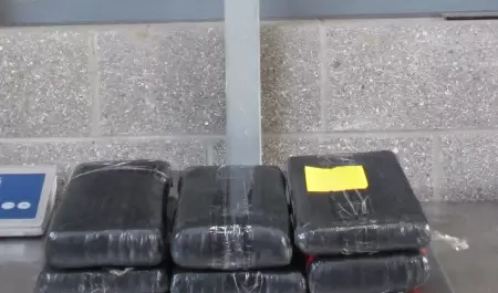 CBP decomisa fentanilo, coca�na y metanfetamina en cruces de San Ysidro y Calexi