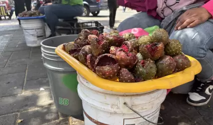 Pitaya