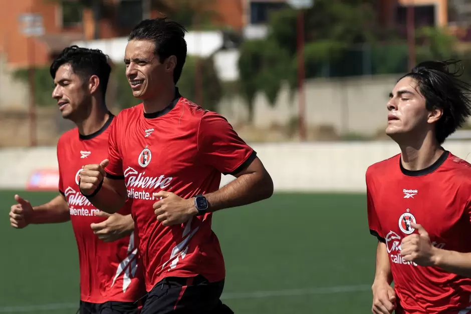 Xolos
