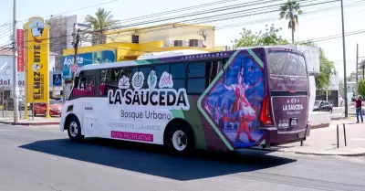La Sauceda