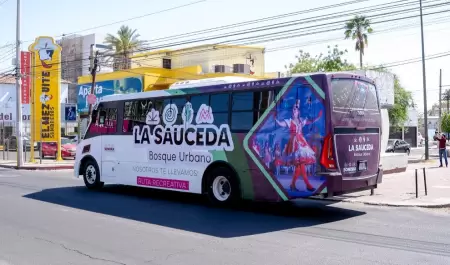 La Sauceda