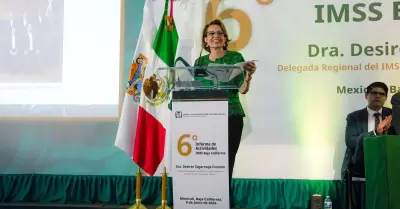 Informe de labores