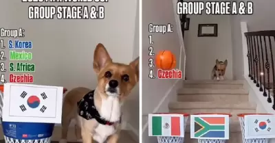 Or�culo de cuatro patas