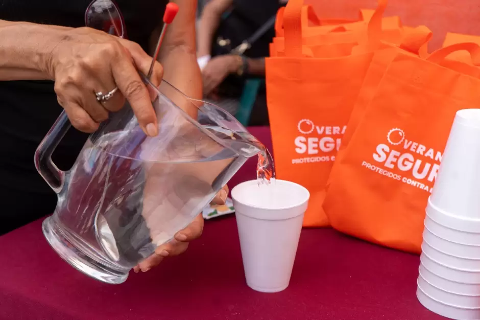 Campa�a Verano Seguro