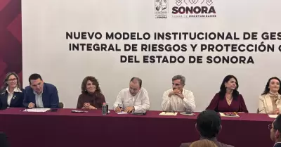Nuevo modelo de protecci�n civil
