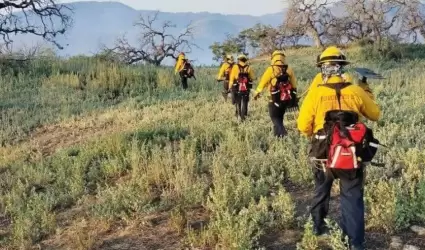 Incendio forestal