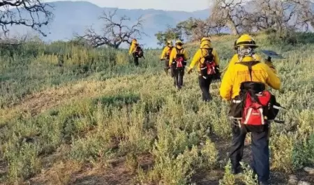 Incendio forestal