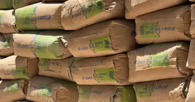 L�minas, cemento y tinacos llegan a familias del sur de Sonora.
