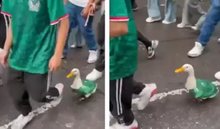 Merl�n, el pato mundialista.