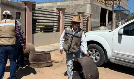 Acciones contra el dengue