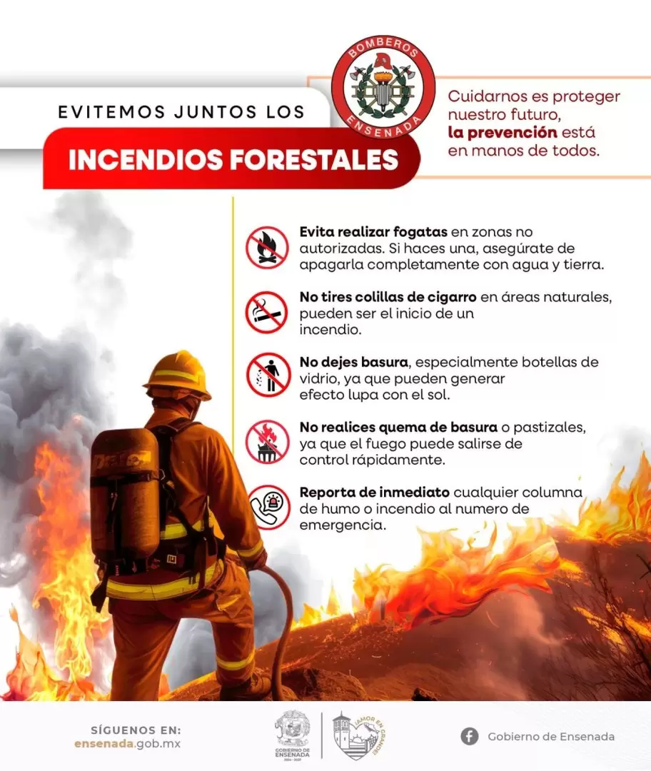 Atiende Bomberos de Ensenada incendio forestal en San Jos� de la Zorra