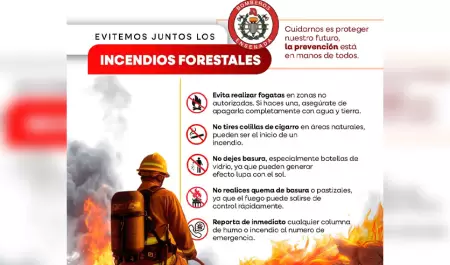 Atiende Bomberos de Ensenada incendio forestal en San Jos� de la Zorra