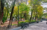 "Feliz Halloween": Mujer lanza �cido a una pareja en plena v�a p�blica de Celaya