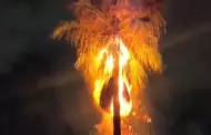 Rayo incendia una palma de 25 metros en Hermosillo