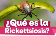 Secretar�a de Medio Ambiente exhorta a prevenir la Rickettsiosis en Baja California