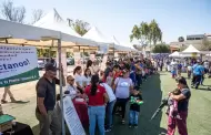 Tijuana re�ne a organizaciones civiles en feria de participaci�n comunitaria