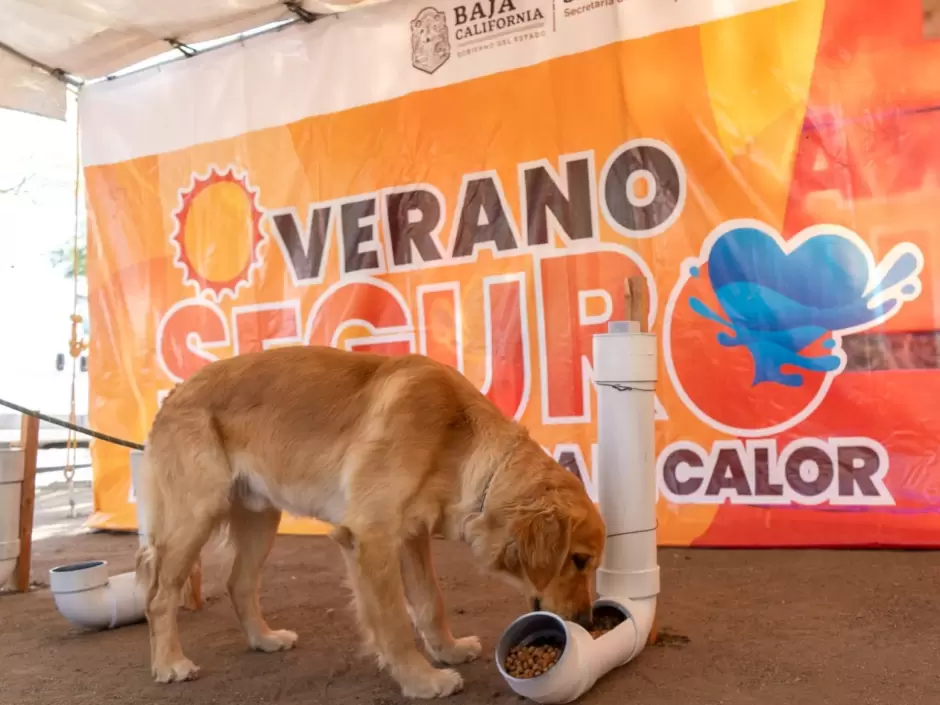 Campa�a Verano Seguro