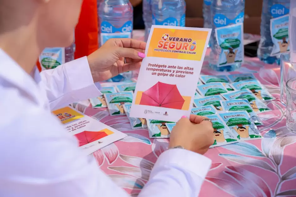 Campa�a Verano Seguro