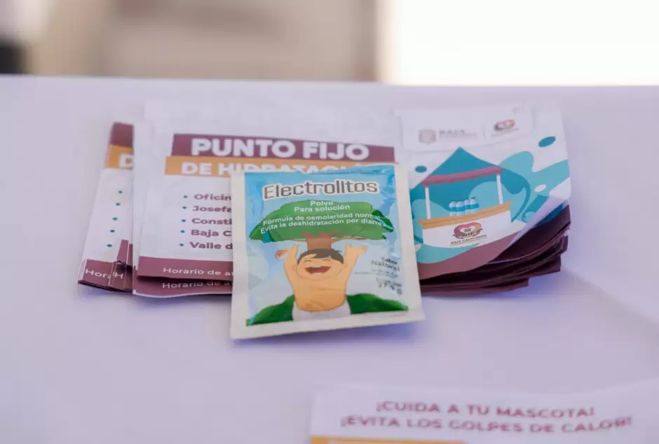 Campa�a Verano Seguro