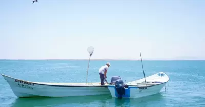 Pesca deportiva
