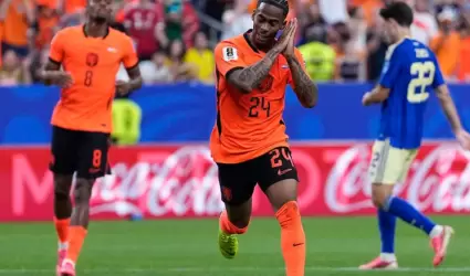 Pa�ses Bajos derrot� a Suecia