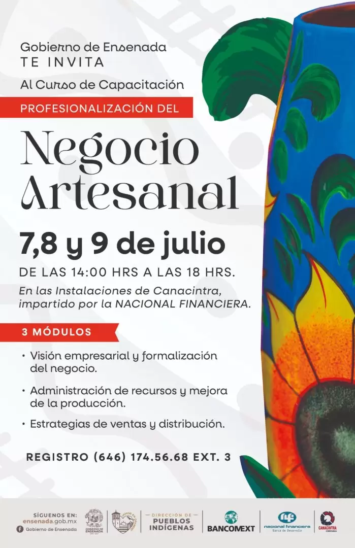 Curso "Profesionalizaci�n del Negocio Artesanal"