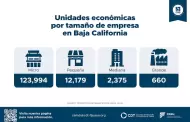 Consolidar a las MiPyMEs, clave para asegurar empleo y dinamismo econ�mico en Baja California: CDT