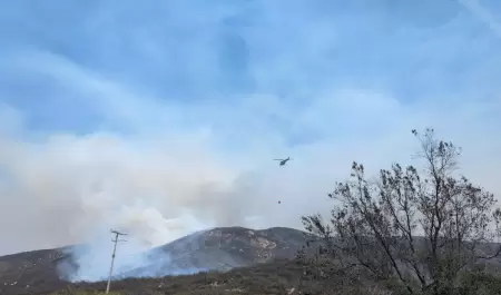 Vigilancia ante incendios forestales activos