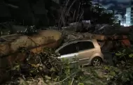 VIDEOS Venezuela bajo tensi�n: fuertes sismos sacuden al pa�s en segundos
