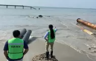 Pemex niega derrame de hidrocarburos en playa de Oaxaca