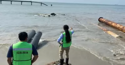 Playa La Ventosa