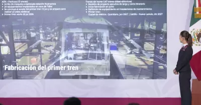 Inversi�n en proyecto de trenes